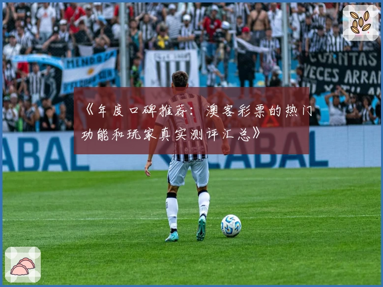 《年度口碑推荐：澳客彩票的热门功能和玩家真实测评汇总》